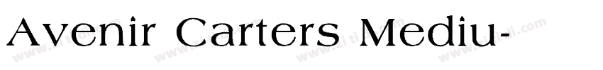 Avenir Carters Mediu字体转换